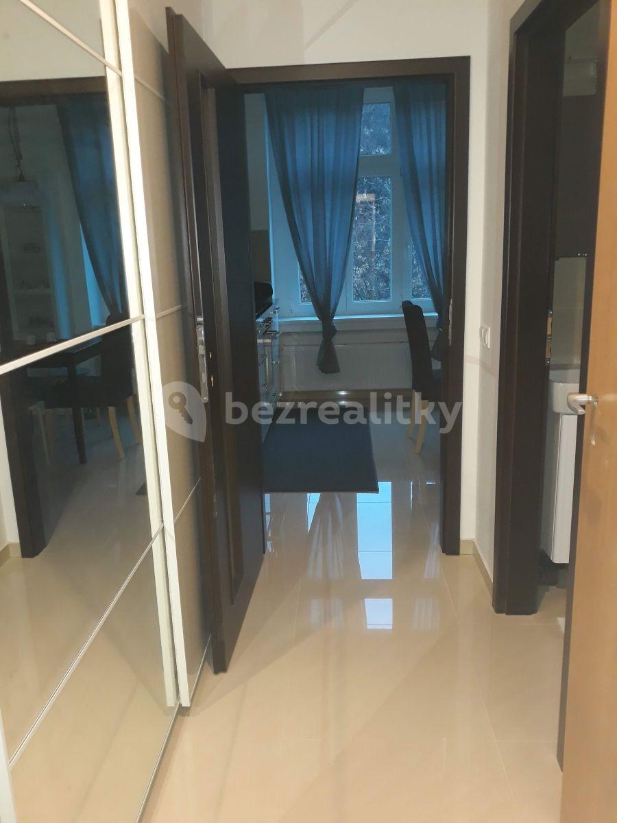 1 bedroom with open-plan kitchen flat to rent, 54 m², Nuselská, Prague, Prague