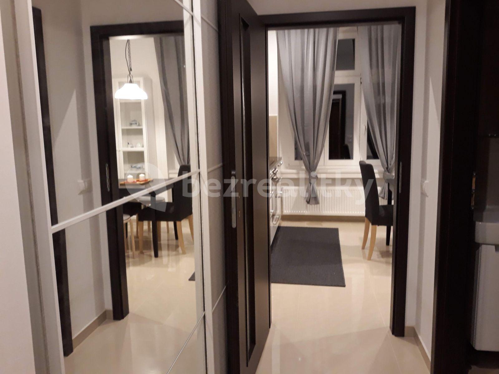 1 bedroom with open-plan kitchen flat to rent, 54 m², Nuselská, Prague, Prague