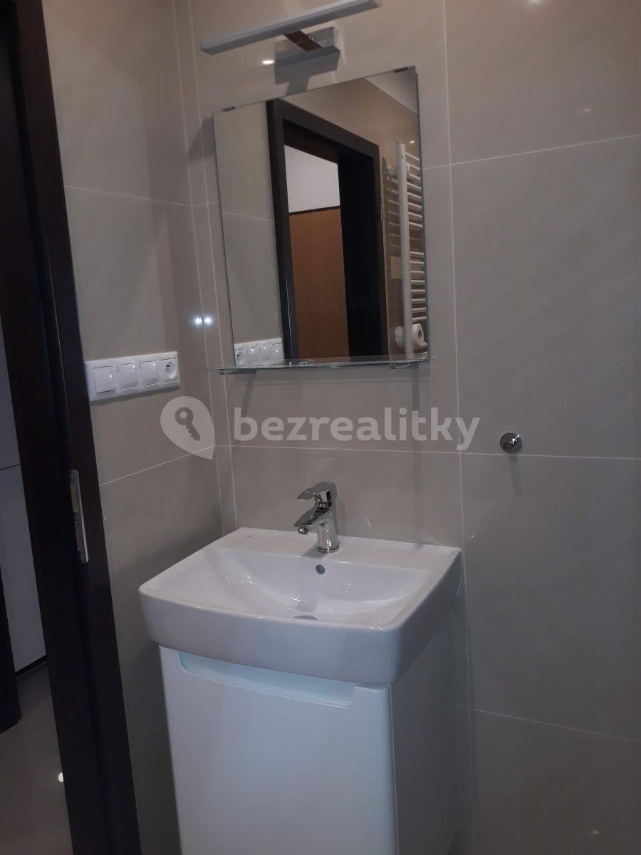 1 bedroom with open-plan kitchen flat to rent, 54 m², Nuselská, Prague, Prague