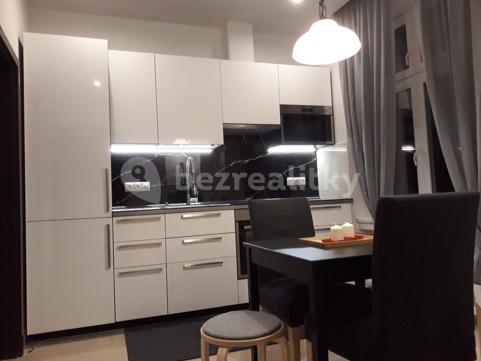 1 bedroom with open-plan kitchen flat to rent, 54 m², Nuselská, Prague, Prague