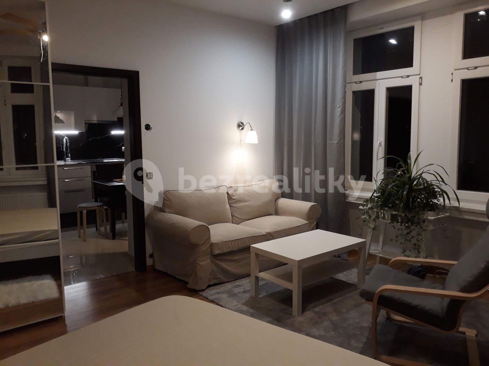 1 bedroom with open-plan kitchen flat to rent, 54 m², Nuselská, Prague, Prague