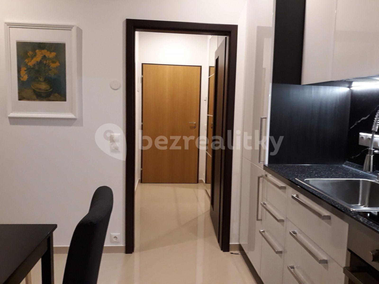 1 bedroom with open-plan kitchen flat to rent, 54 m², Nuselská, Prague, Prague