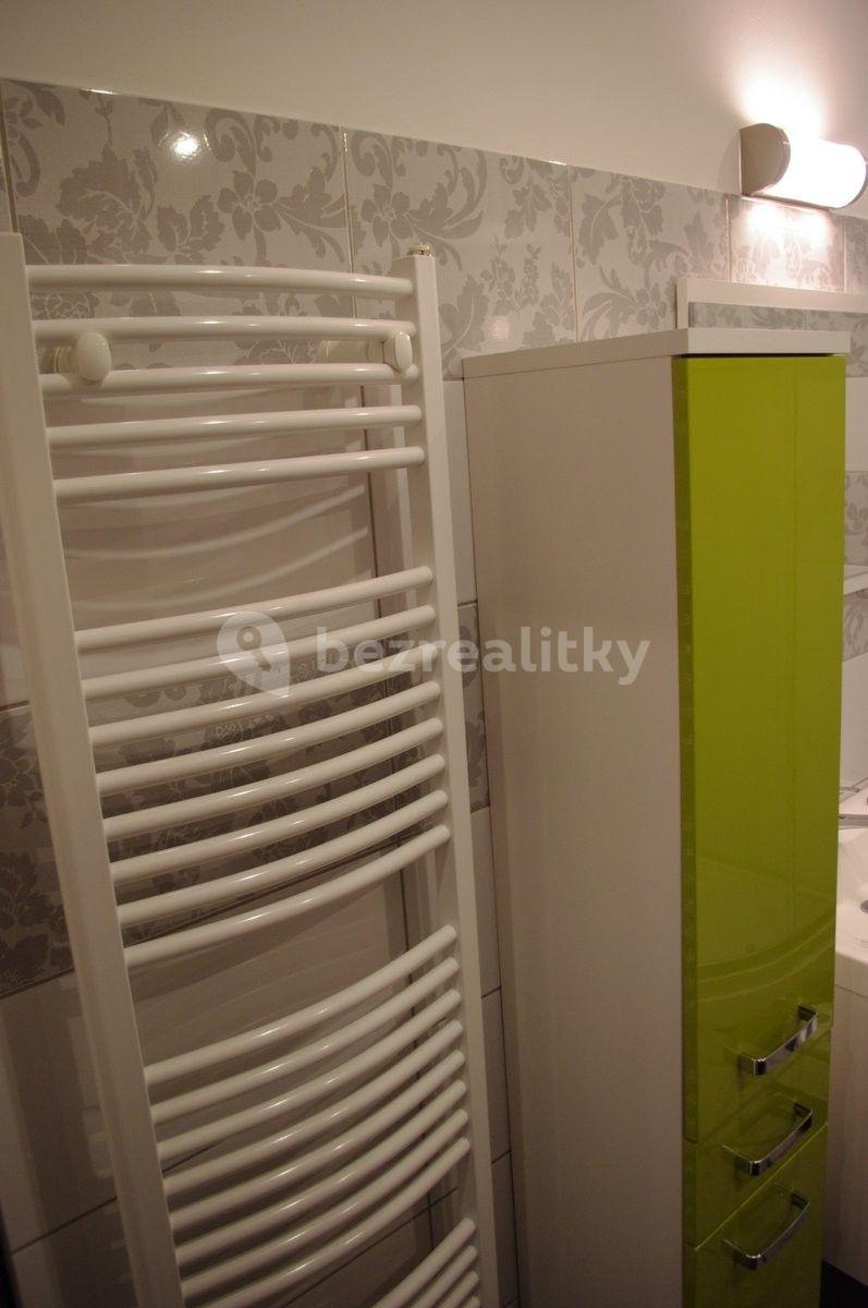 1 bedroom with open-plan kitchen flat to rent, 43 m², Lesní stezka, Jablonec nad Nisou, Liberecký Region