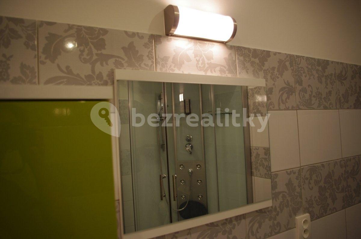 1 bedroom with open-plan kitchen flat to rent, 43 m², Lesní stezka, Jablonec nad Nisou, Liberecký Region