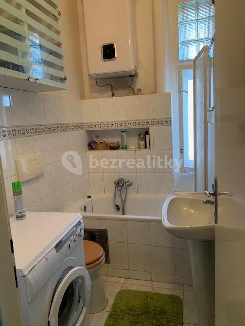 1 bedroom with open-plan kitchen flat to rent, 60 m², Čiklova, Prague, Prague