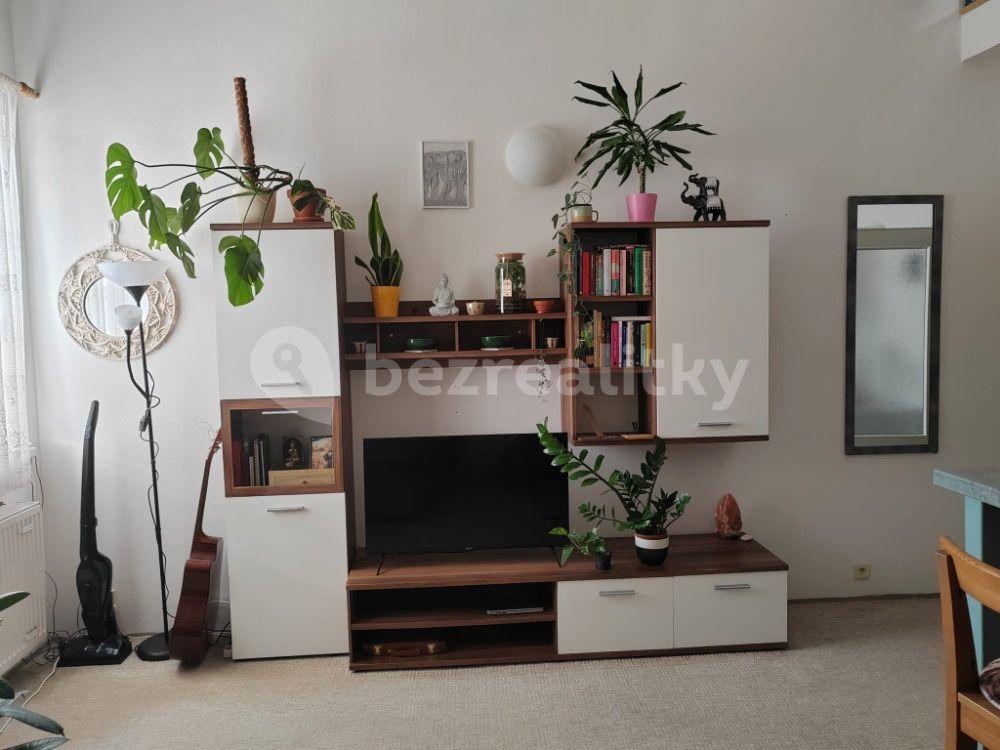 1 bedroom with open-plan kitchen flat to rent, 50 m², bratří Sapáků, Brno, Jihomoravský Region