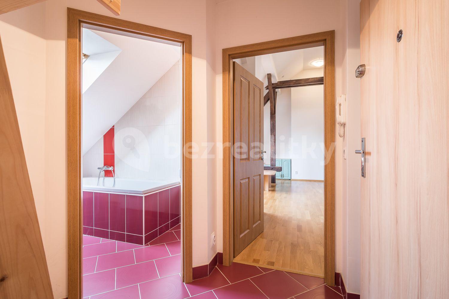 1 bedroom with open-plan kitchen flat to rent, 51 m², Poupětova, Prague, Prague