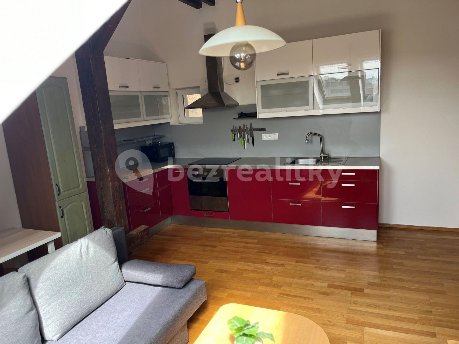 1 bedroom with open-plan kitchen flat to rent, 51 m², Poupětova, Prague, Prague