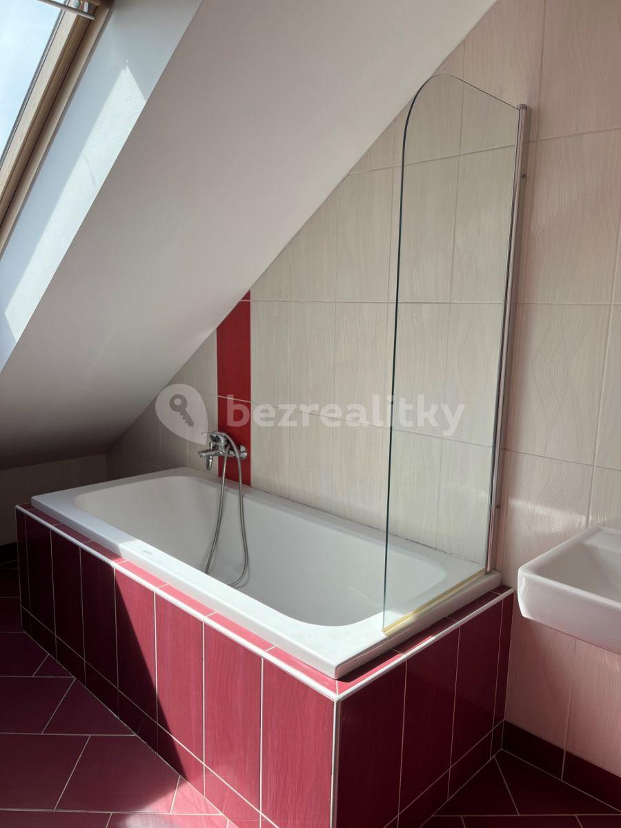 1 bedroom with open-plan kitchen flat to rent, 51 m², Poupětova, Prague, Prague