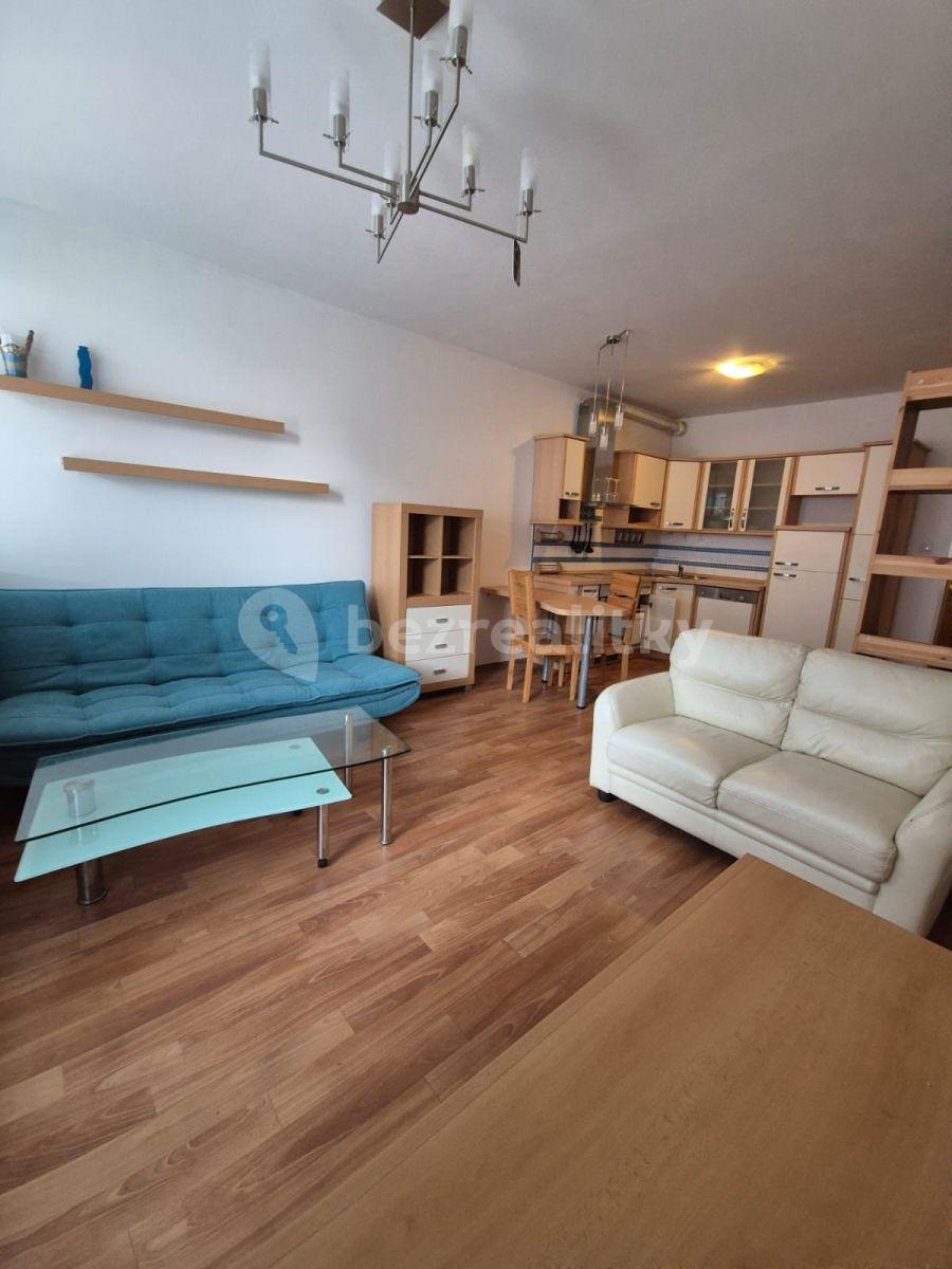 1 bedroom with open-plan kitchen flat to rent, 57 m², Herlíkovická, Prague, Prague