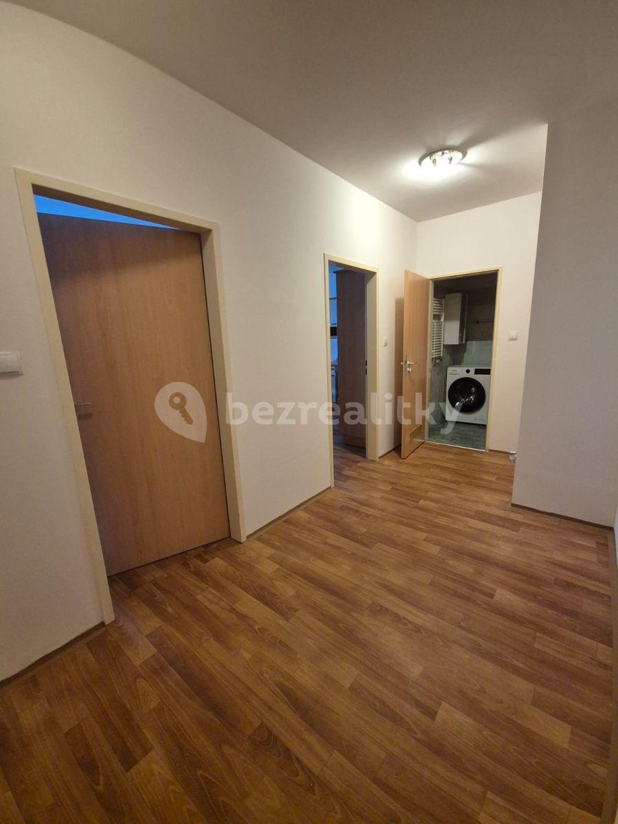 1 bedroom with open-plan kitchen flat to rent, 57 m², Herlíkovická, Prague, Prague