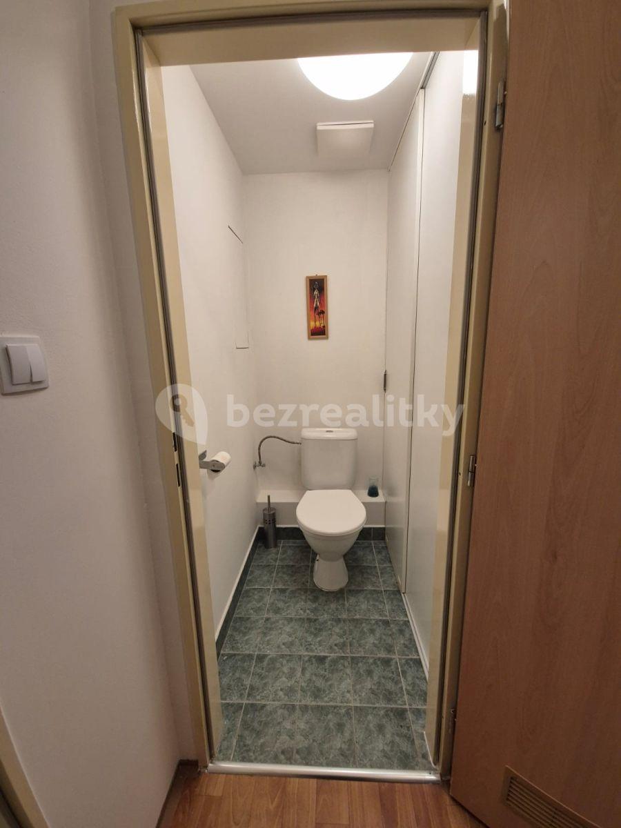 1 bedroom with open-plan kitchen flat to rent, 57 m², Herlíkovická, Prague, Prague