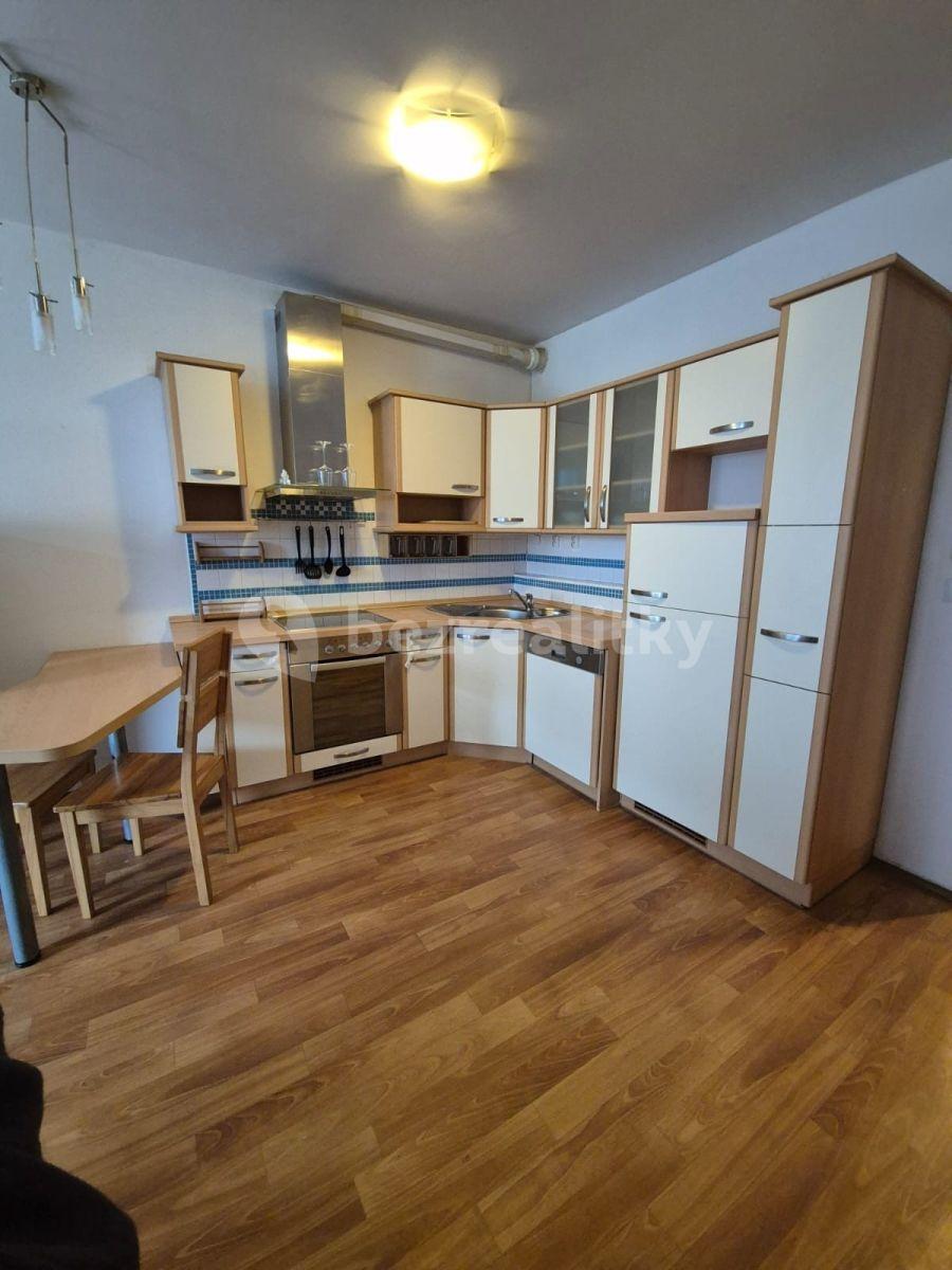 1 bedroom with open-plan kitchen flat to rent, 57 m², Herlíkovická, Prague, Prague