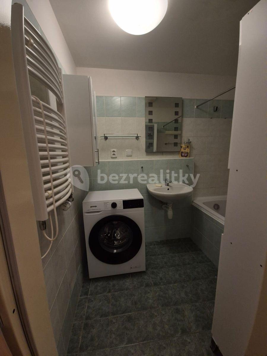 1 bedroom with open-plan kitchen flat to rent, 57 m², Herlíkovická, Prague, Prague