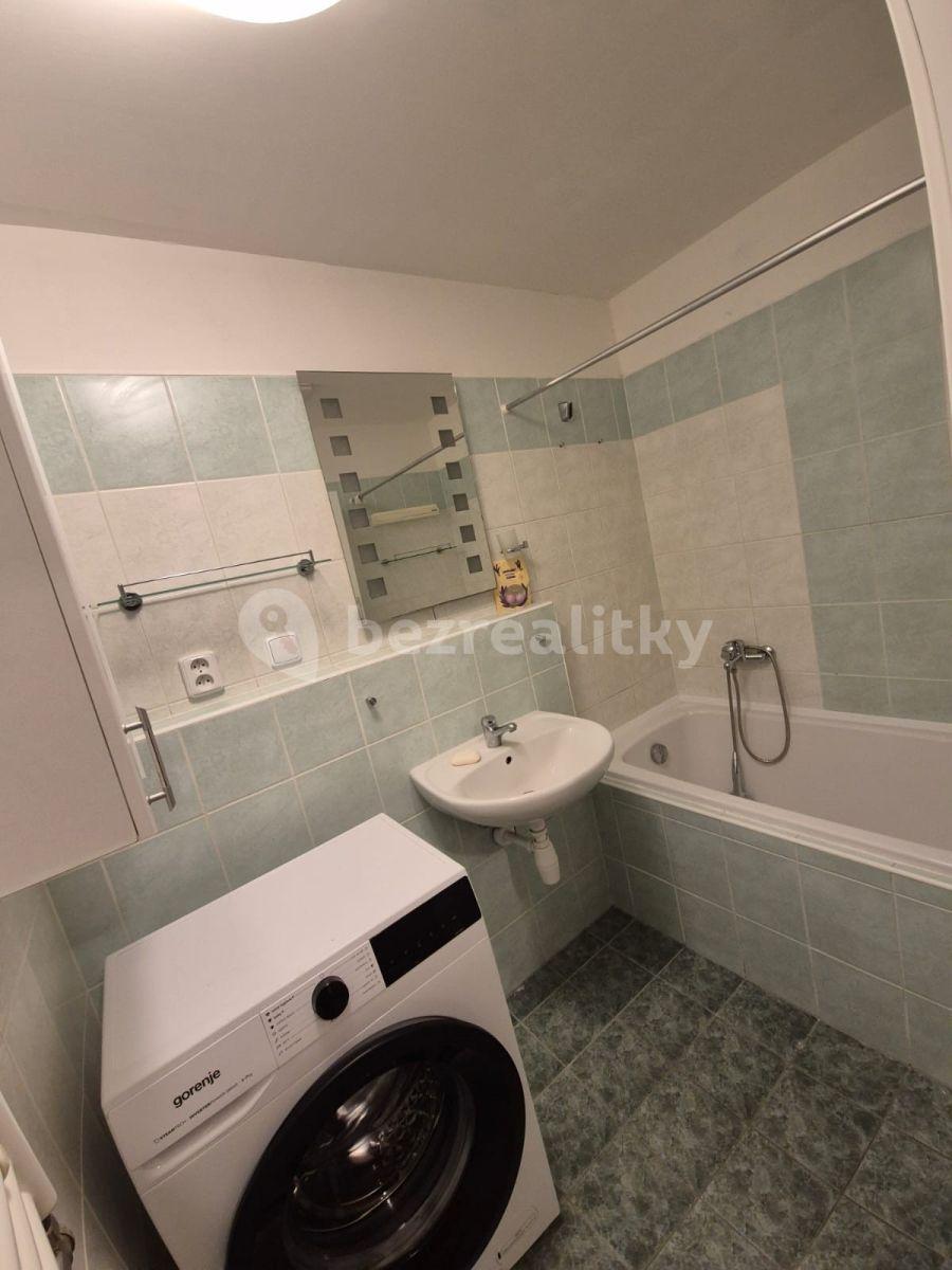 1 bedroom with open-plan kitchen flat to rent, 57 m², Herlíkovická, Prague, Prague