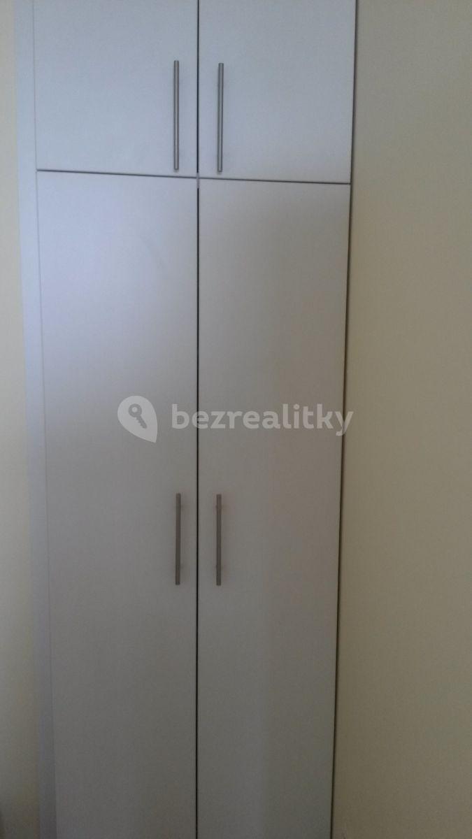 1 bedroom with open-plan kitchen flat to rent, 48 m², Hnězdenská, Prague, Prague