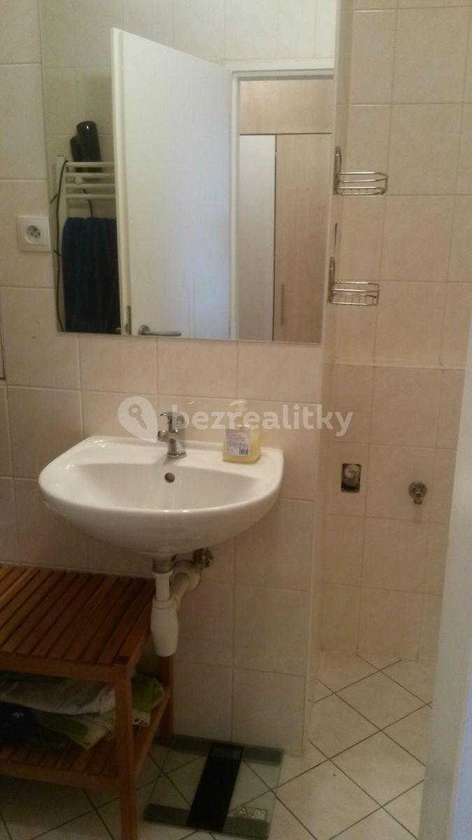 1 bedroom with open-plan kitchen flat to rent, 48 m², Hnězdenská, Prague, Prague