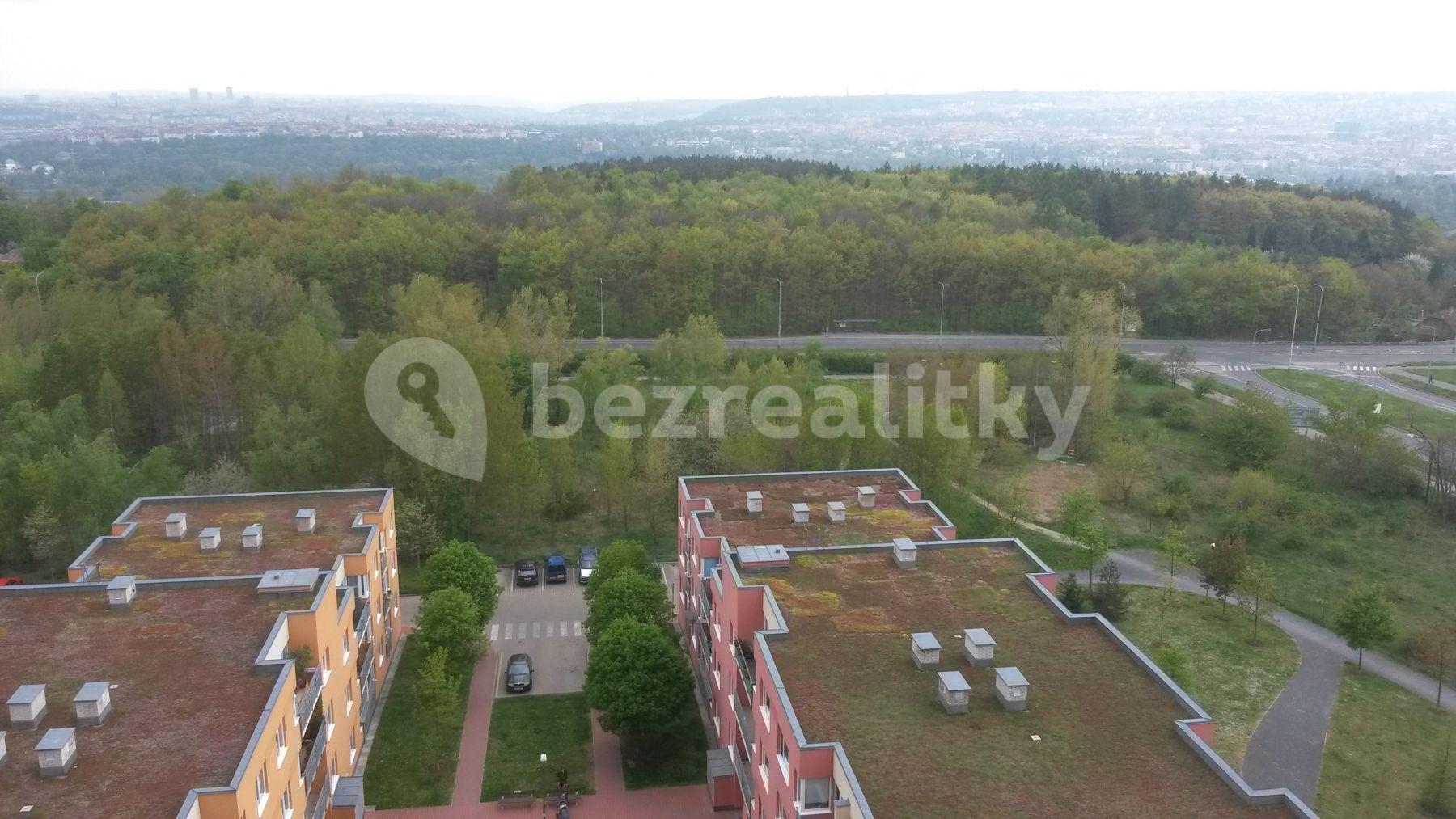 1 bedroom with open-plan kitchen flat to rent, 48 m², Hnězdenská, Prague, Prague