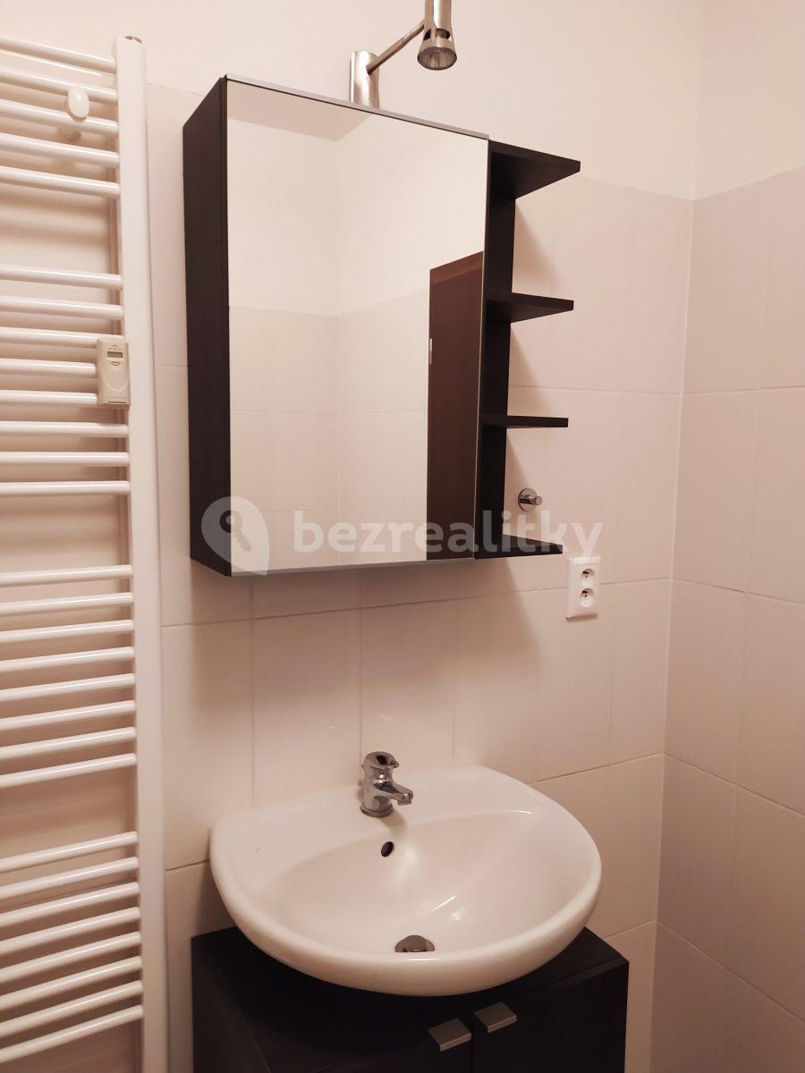 1 bedroom with open-plan kitchen flat to rent, 56 m², Novostrašnická, Prague, Prague