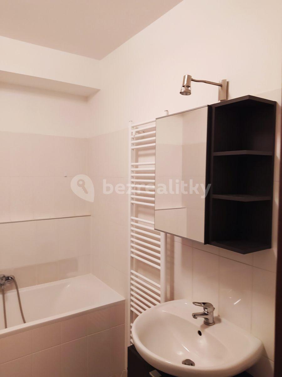 1 bedroom with open-plan kitchen flat to rent, 56 m², Novostrašnická, Prague, Prague