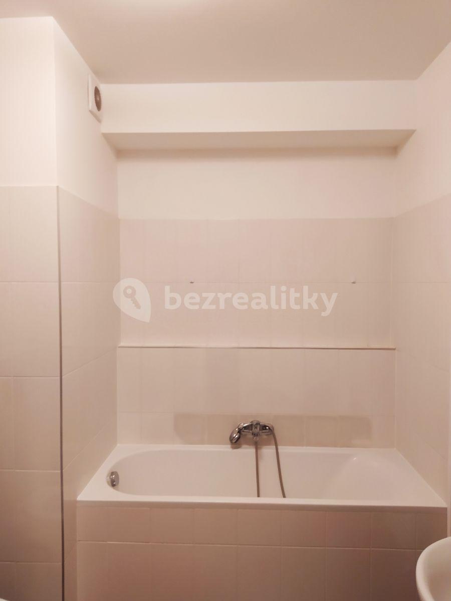 1 bedroom with open-plan kitchen flat to rent, 56 m², Novostrašnická, Prague, Prague