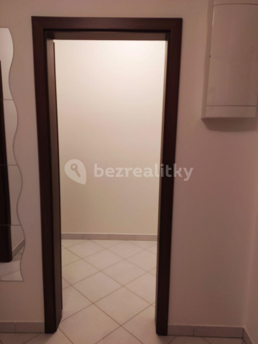 1 bedroom with open-plan kitchen flat to rent, 56 m², Novostrašnická, Prague, Prague