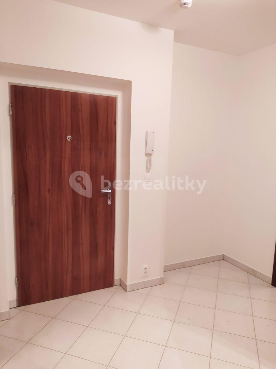 1 bedroom with open-plan kitchen flat to rent, 56 m², Novostrašnická, Prague, Prague