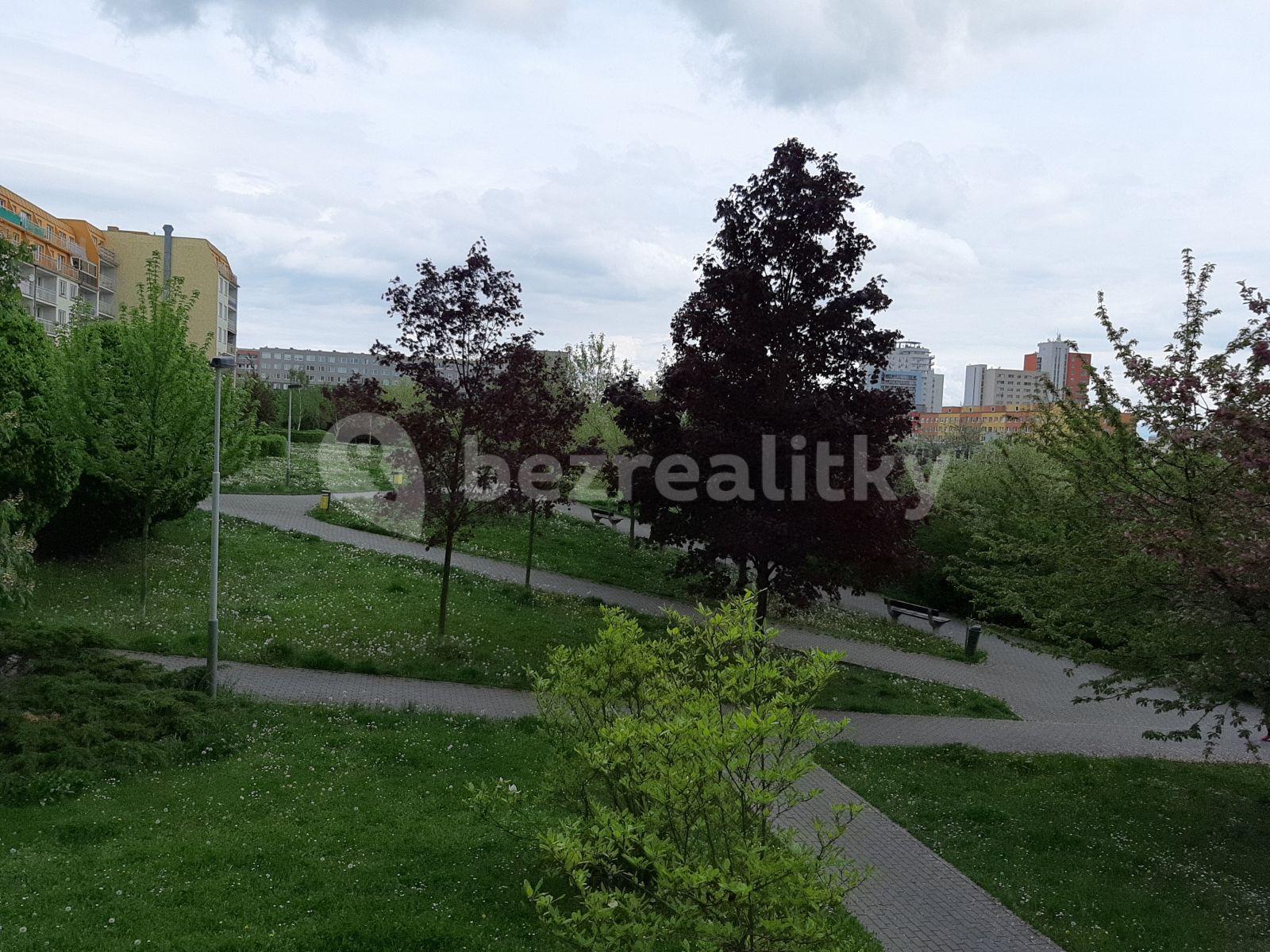 1 bedroom with open-plan kitchen flat to rent, 65 m², Kodymova, Prague, Prague