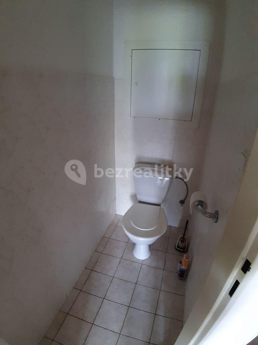 1 bedroom with open-plan kitchen flat to rent, 65 m², Kodymova, Prague, Prague