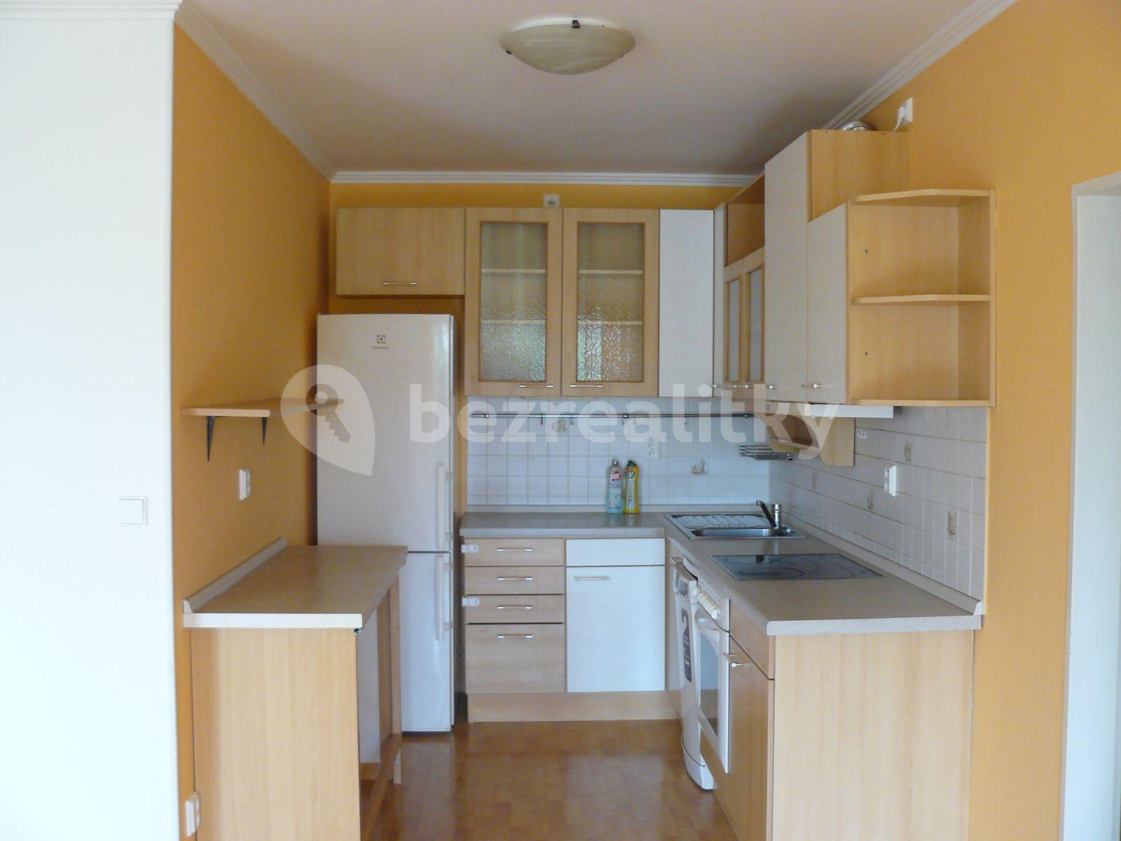 1 bedroom with open-plan kitchen flat to rent, 65 m², Kodymova, Prague, Prague