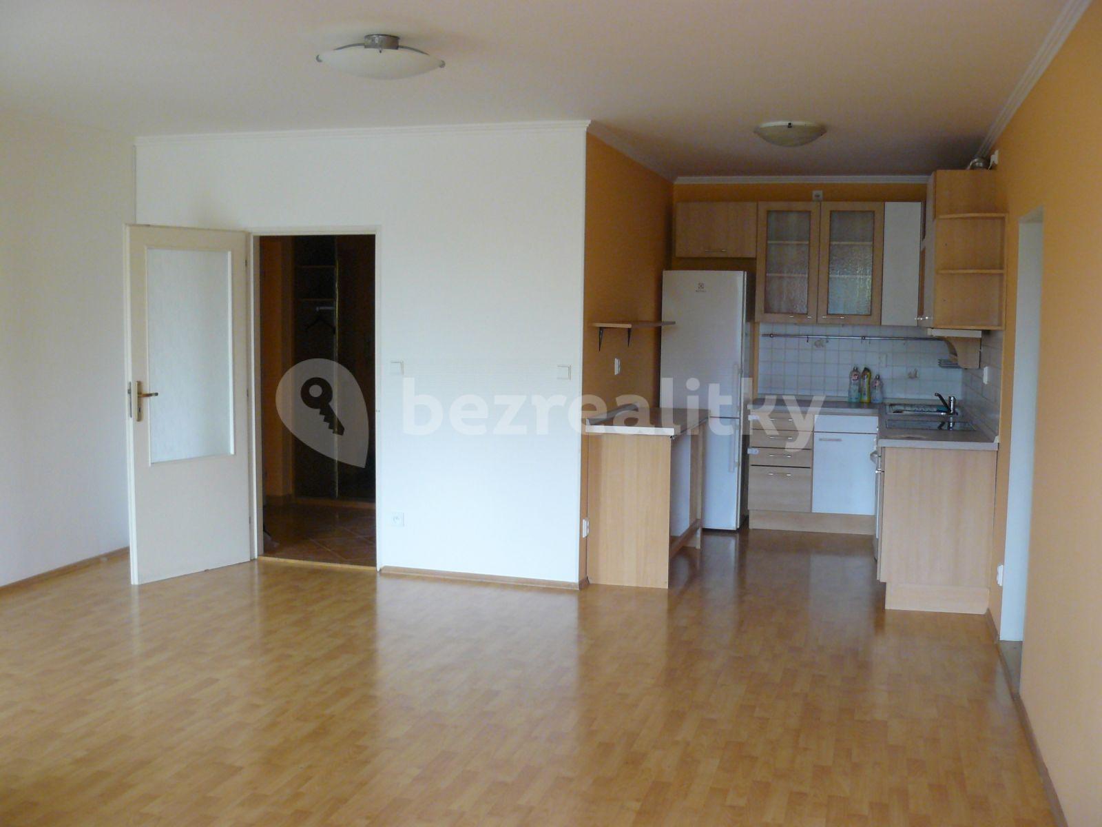 1 bedroom with open-plan kitchen flat to rent, 65 m², Kodymova, Prague, Prague