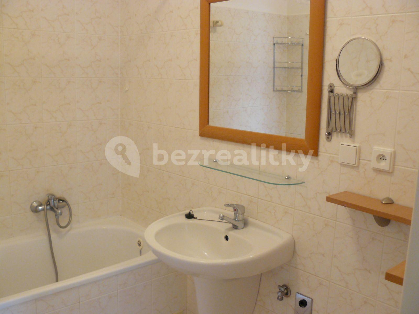 1 bedroom with open-plan kitchen flat to rent, 65 m², Kodymova, Prague, Prague