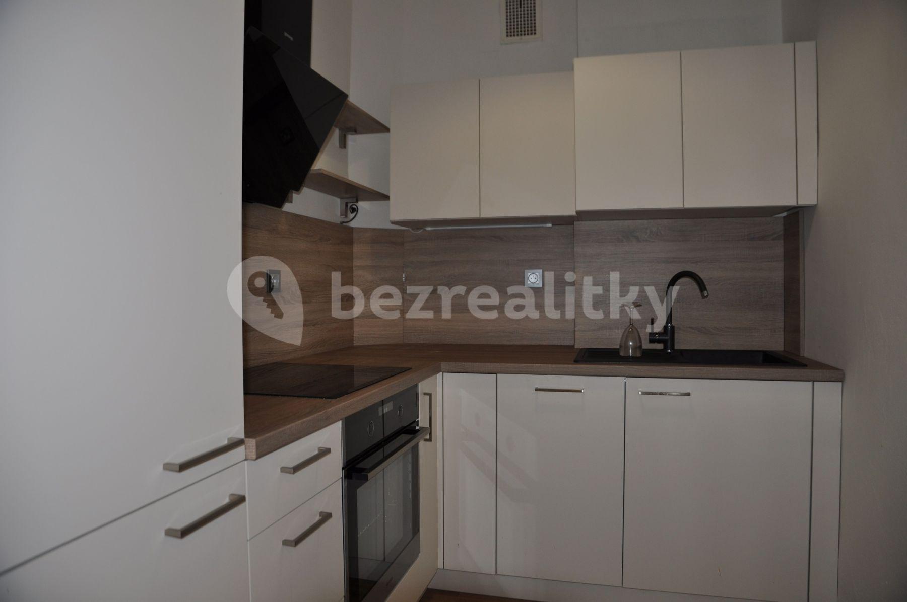 1 bedroom with open-plan kitchen flat to rent, 68 m², Školská, Prague, Prague