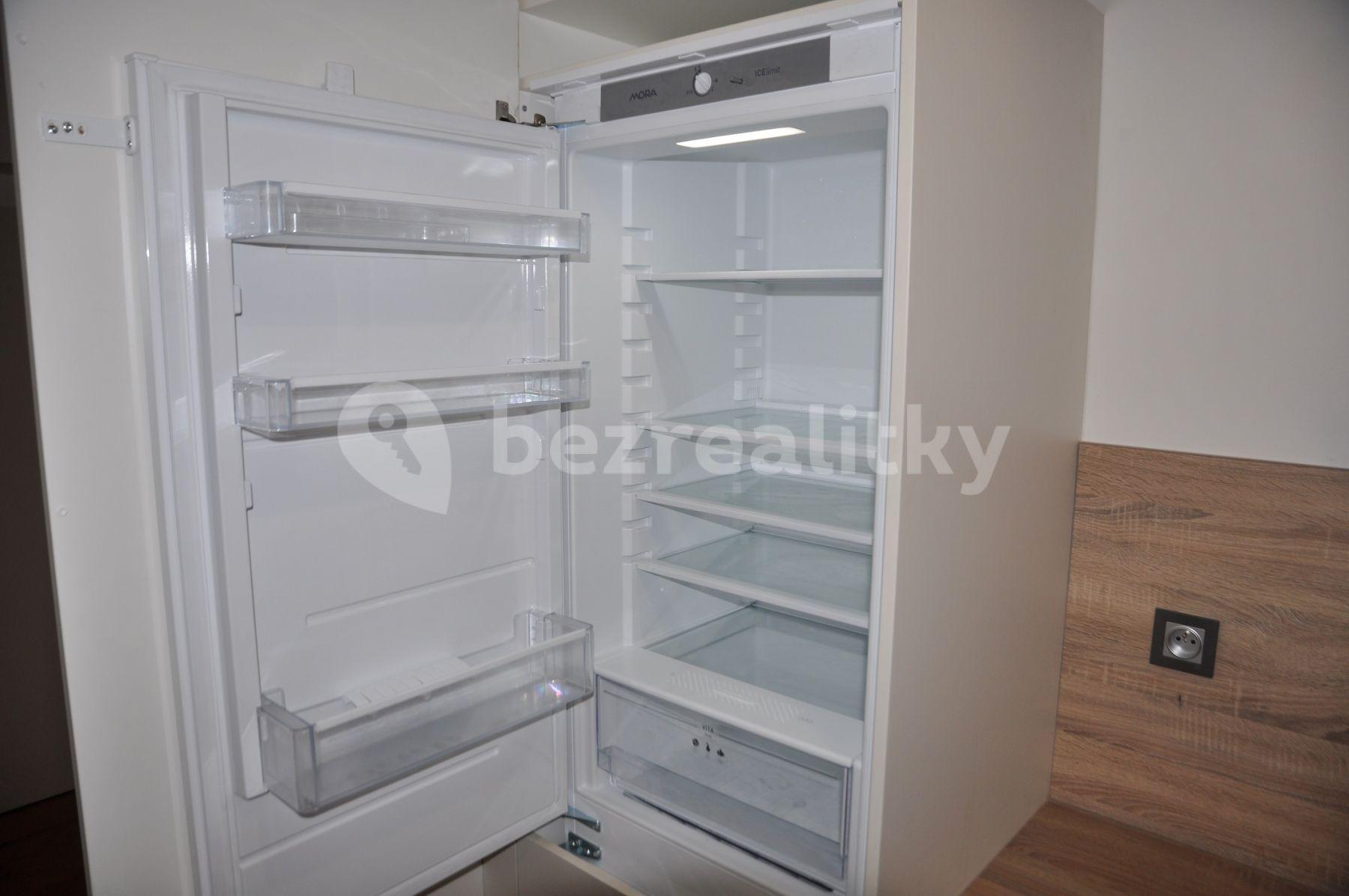 1 bedroom with open-plan kitchen flat to rent, 68 m², Školská, Prague, Prague