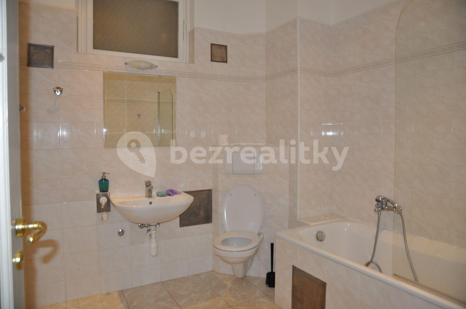 1 bedroom with open-plan kitchen flat to rent, 68 m², Školská, Prague, Prague