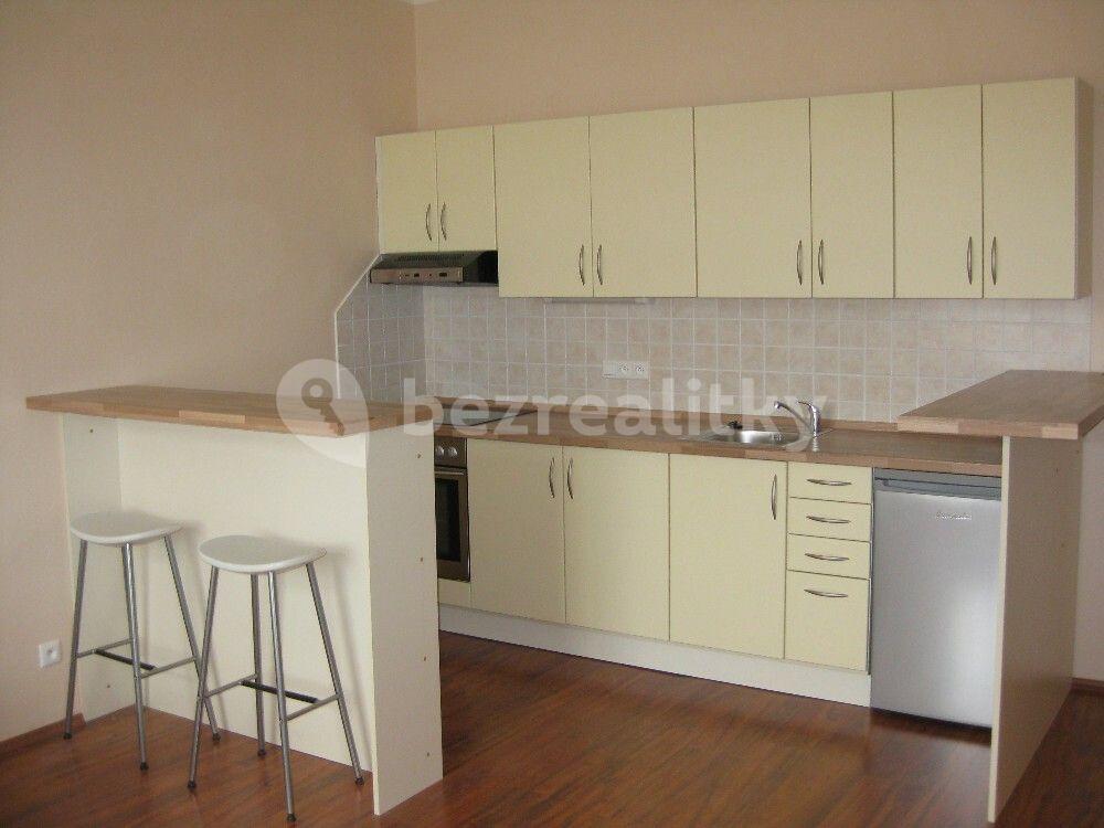 1 bedroom with open-plan kitchen flat to rent, 58 m², Čestmírova, Prague, Prague