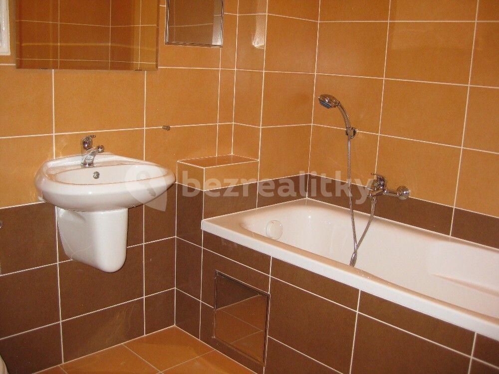 1 bedroom with open-plan kitchen flat to rent, 58 m², Čestmírova, Prague, Prague