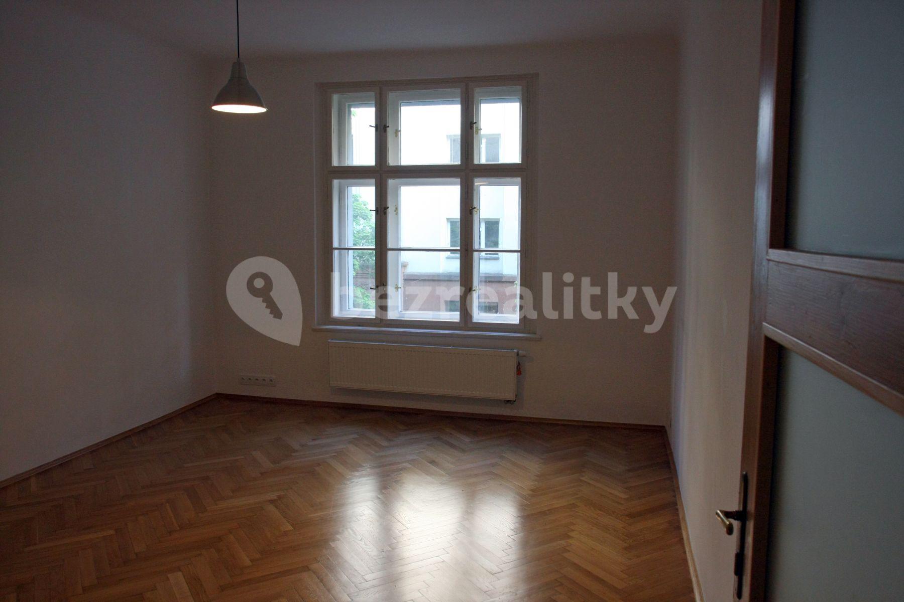 1 bedroom with open-plan kitchen flat to rent, 60 m², Křížkovského, Prague, Prague