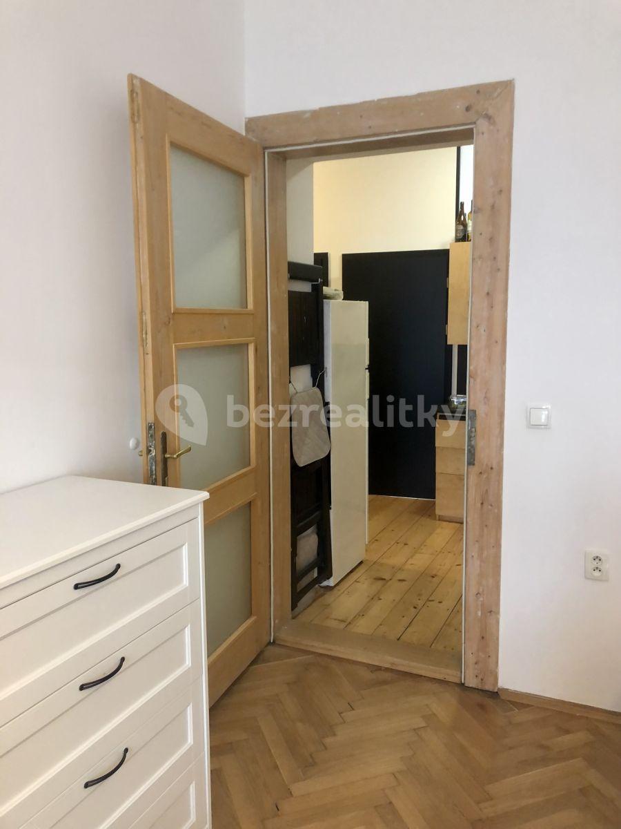 1 bedroom with open-plan kitchen flat to rent, 60 m², Křížkovského, Prague, Prague