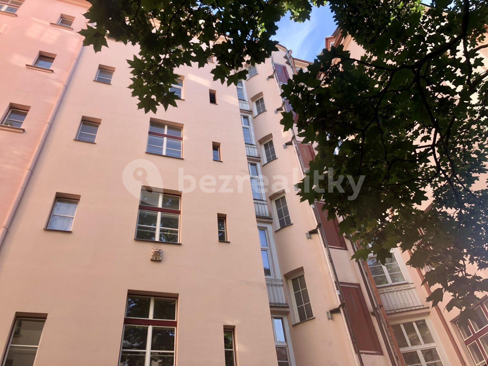 1 bedroom with open-plan kitchen flat to rent, 60 m², Křížkovského, Prague, Prague