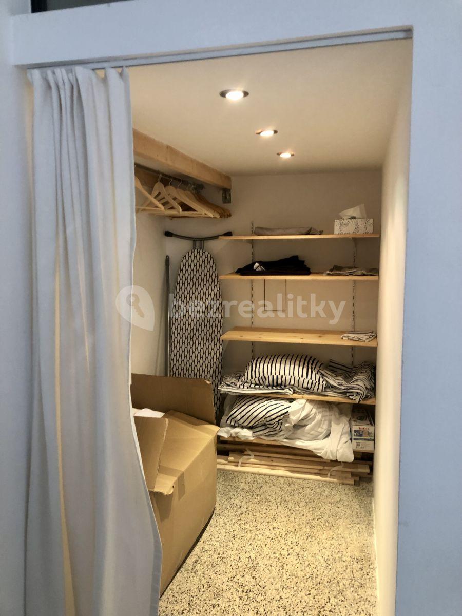 1 bedroom with open-plan kitchen flat to rent, 60 m², Křížkovského, Prague, Prague