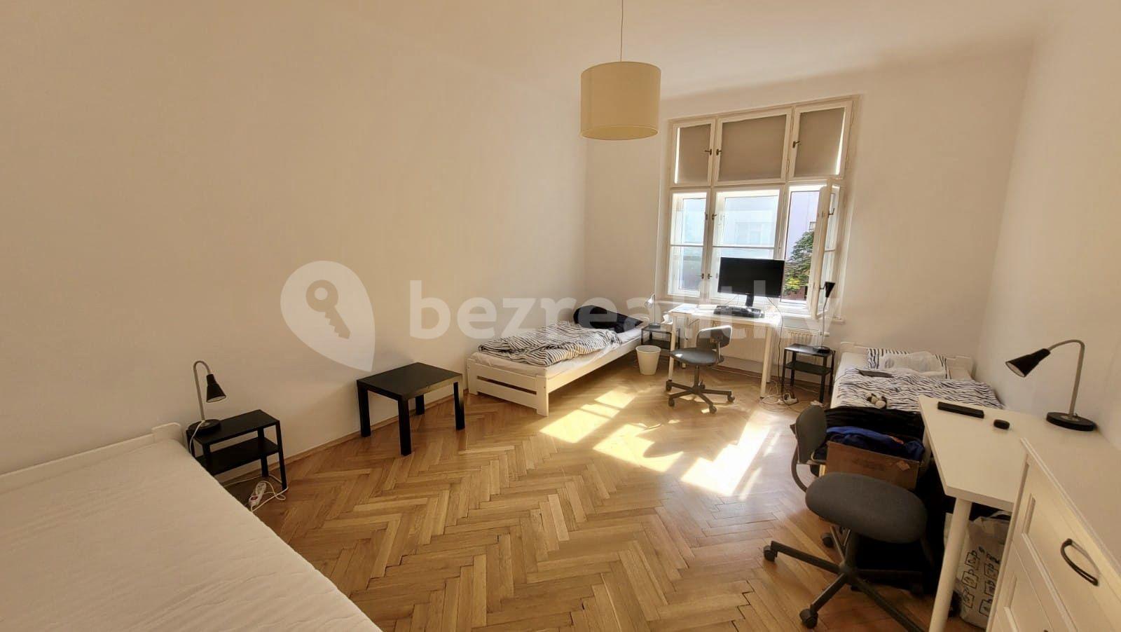 1 bedroom with open-plan kitchen flat to rent, 60 m², Křížkovského, Prague, Prague