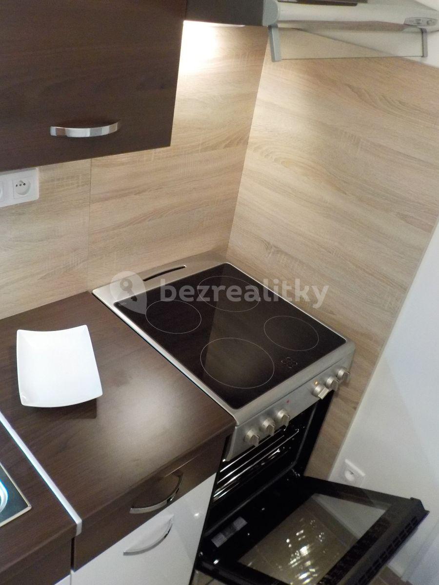 Small studio flat to rent, 33 m², Janovská, Prague, Prague