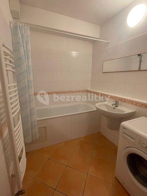 1 bedroom with open-plan kitchen flat to rent, 56 m², Kovanecká, Prague, Prague