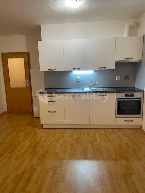 1 bedroom with open-plan kitchen flat to rent, 56 m², Kovanecká, Prague, Prague