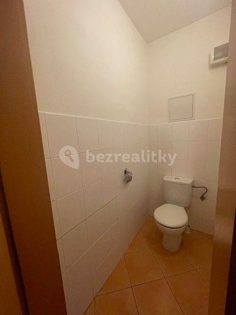 1 bedroom with open-plan kitchen flat to rent, 56 m², Kovanecká, Prague, Prague