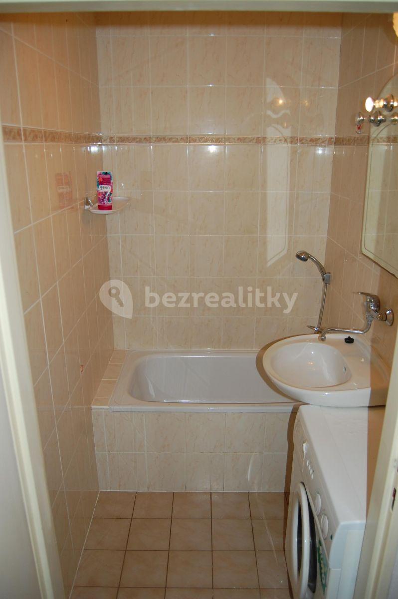 1 bedroom with open-plan kitchen flat to rent, 47 m², Roškotova, Prague, Prague