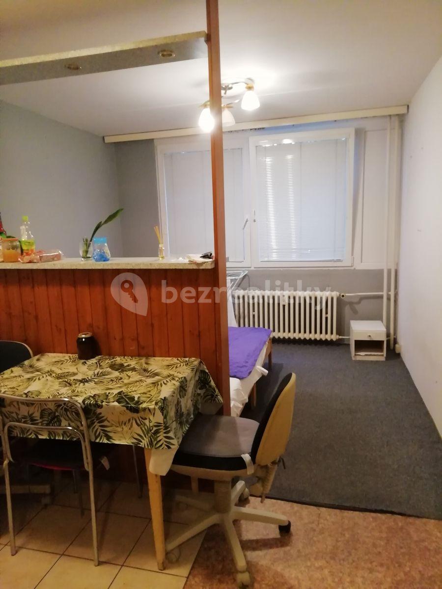 1 bedroom with open-plan kitchen flat to rent, 47 m², Roškotova, Prague, Prague