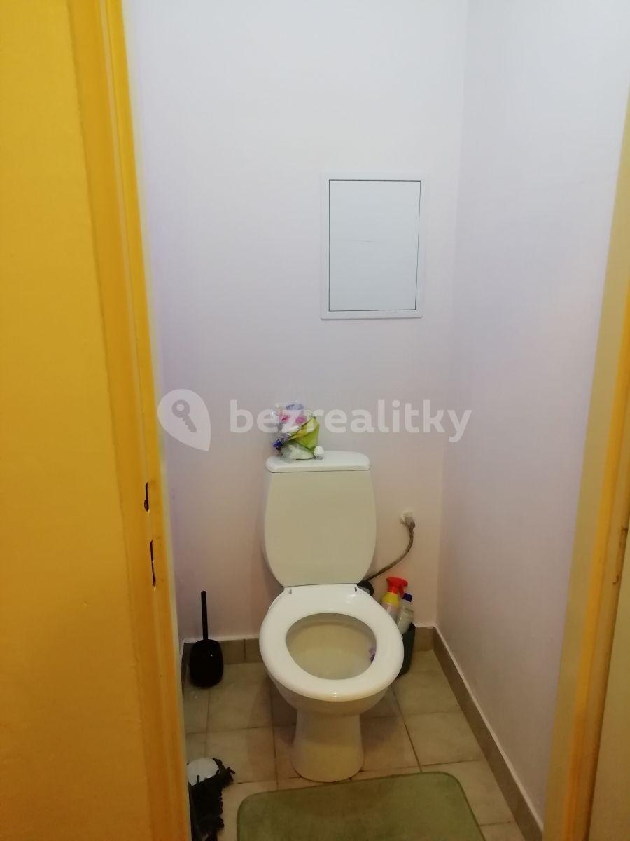 1 bedroom with open-plan kitchen flat to rent, 47 m², Roškotova, Prague, Prague