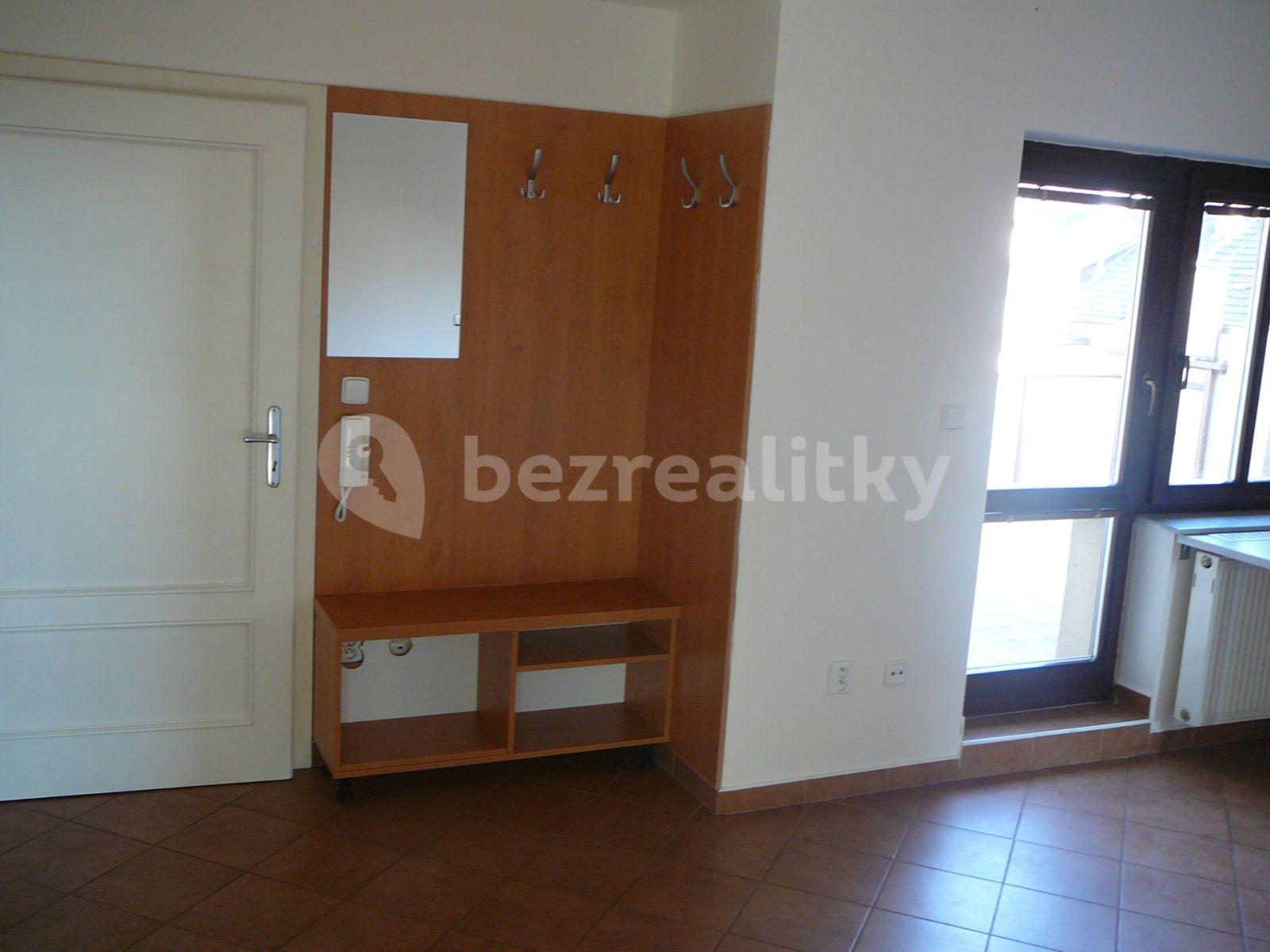 2 bedroom with open-plan kitchen flat to rent, 65 m², Svatoplukova, Brno, Jihomoravský Region